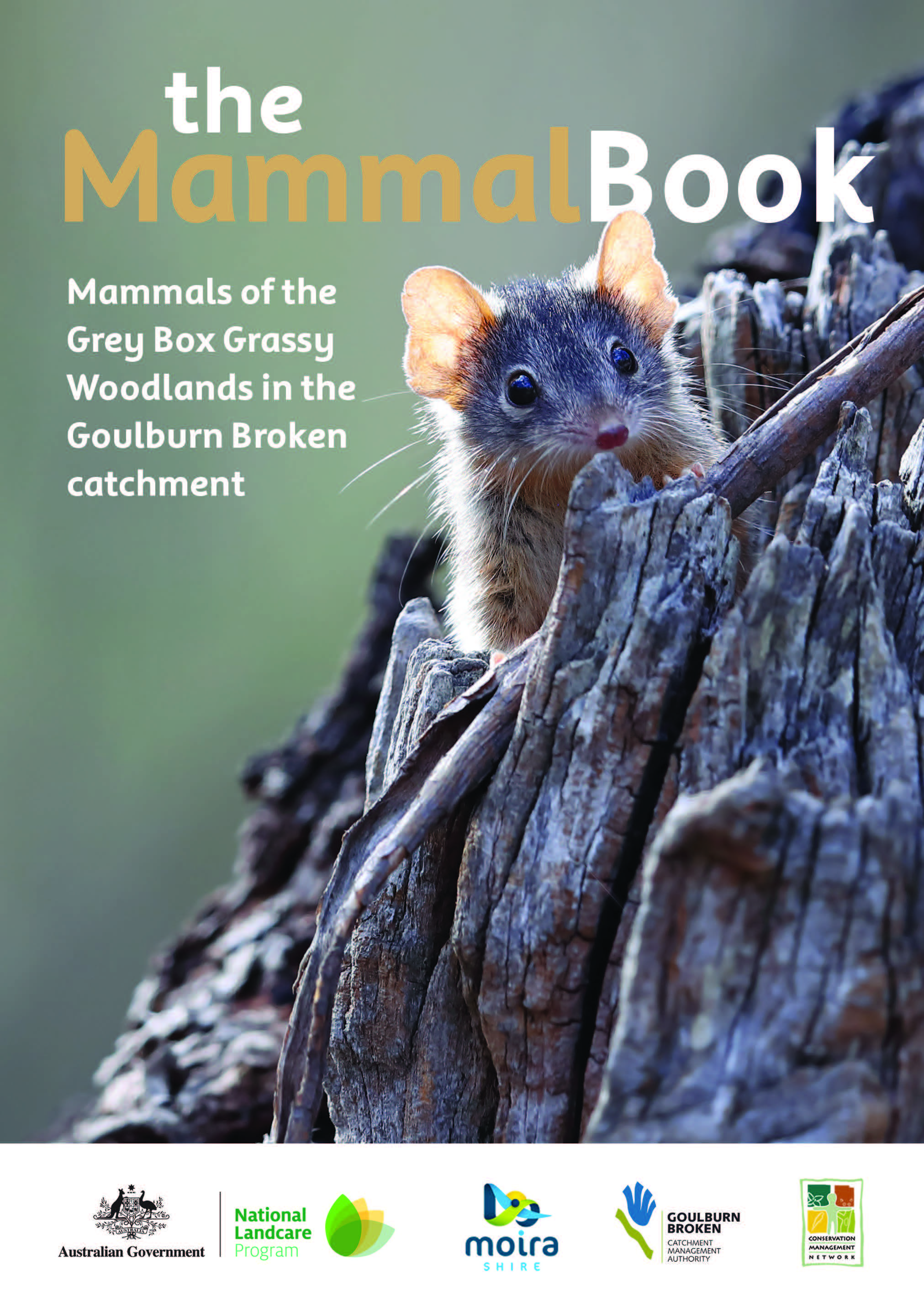 The Mammal Book